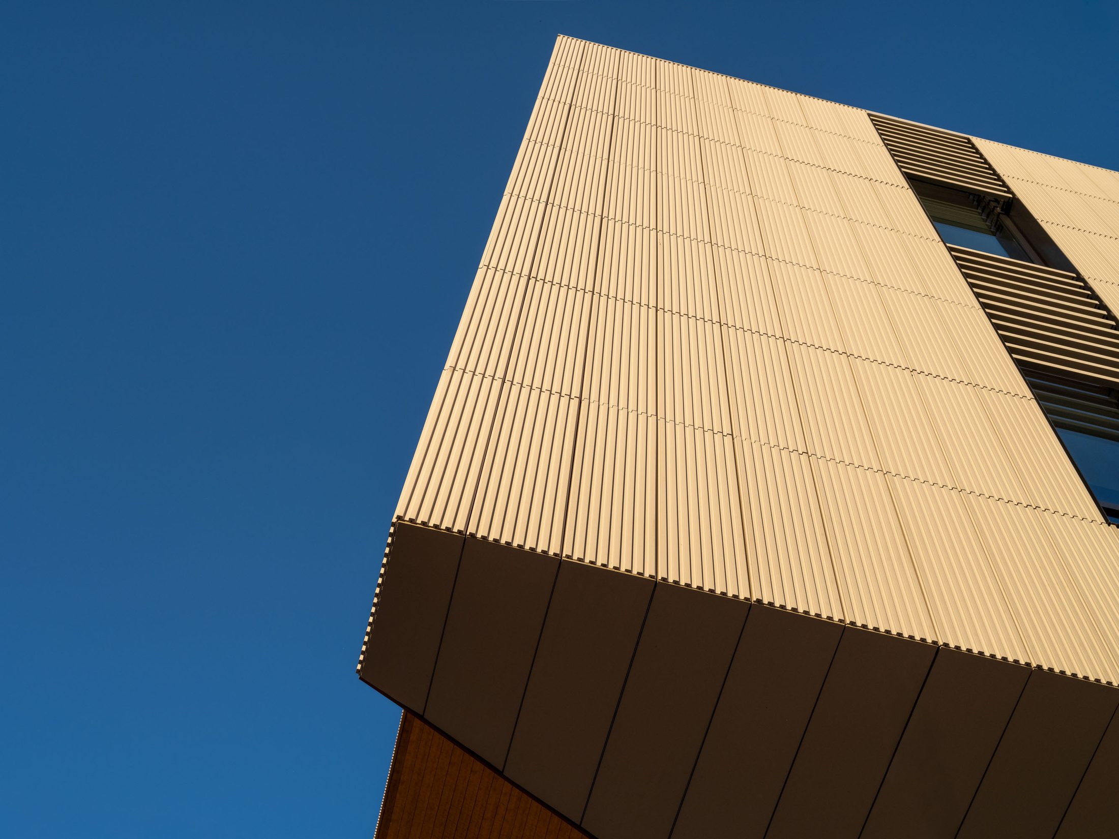 66 Galen Street, terracotta panels from below