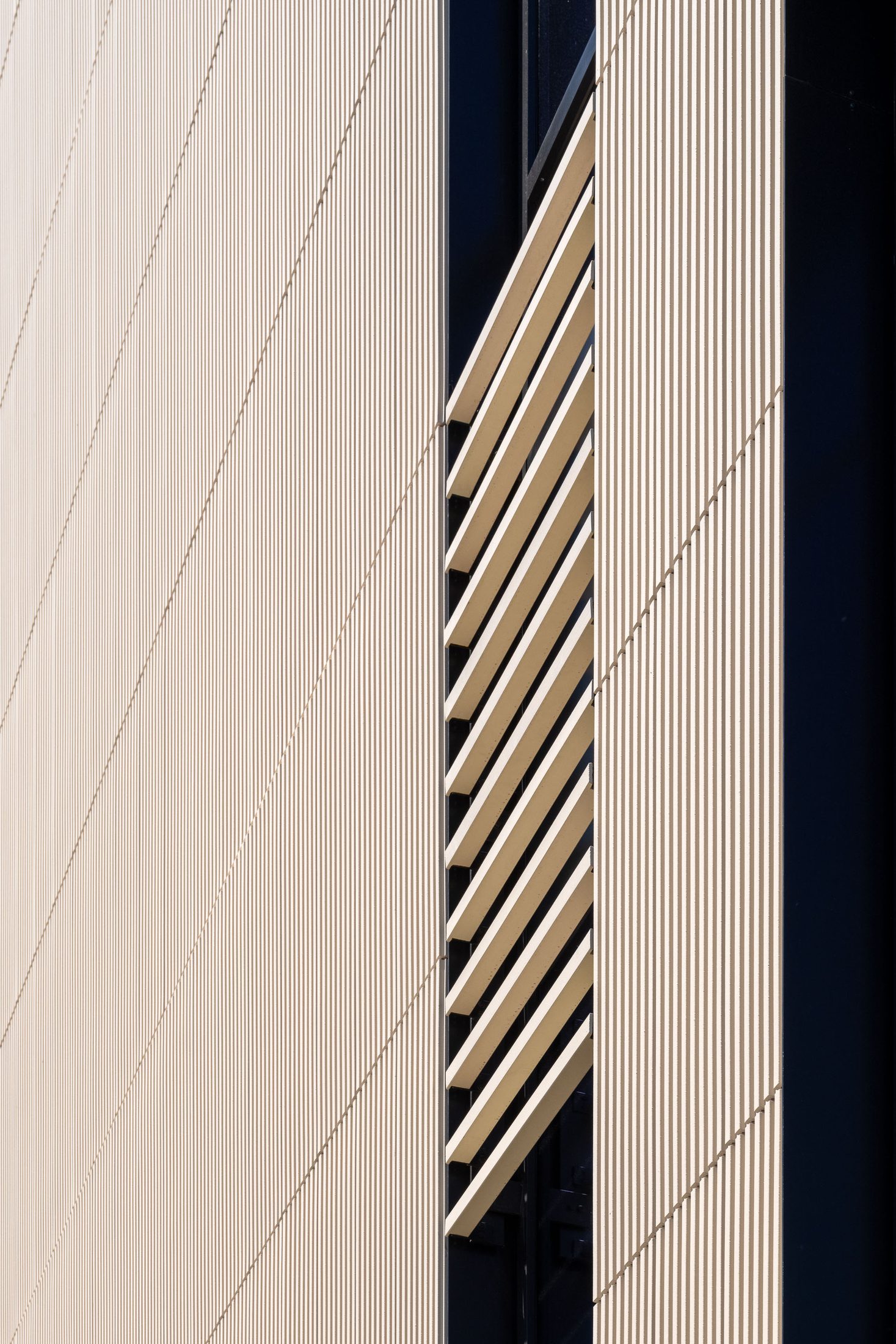 66 Galen Street, terracotta fins