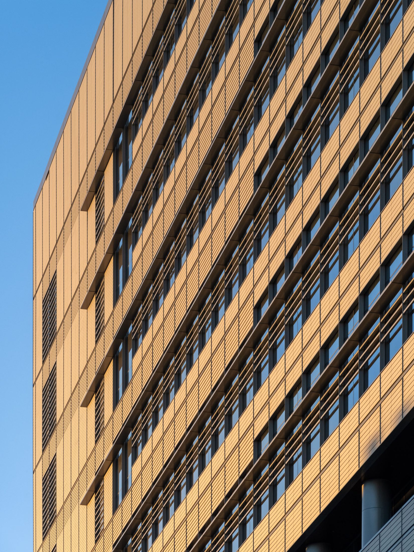 Gateway of the Pacific, terracotta facade in raking light