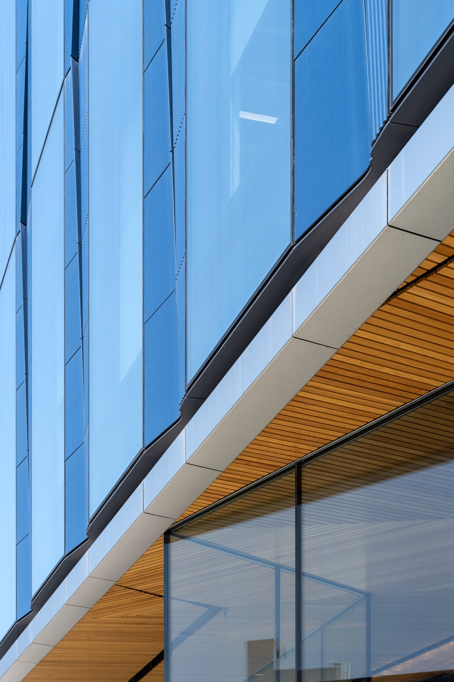 The 105, glass fin detail