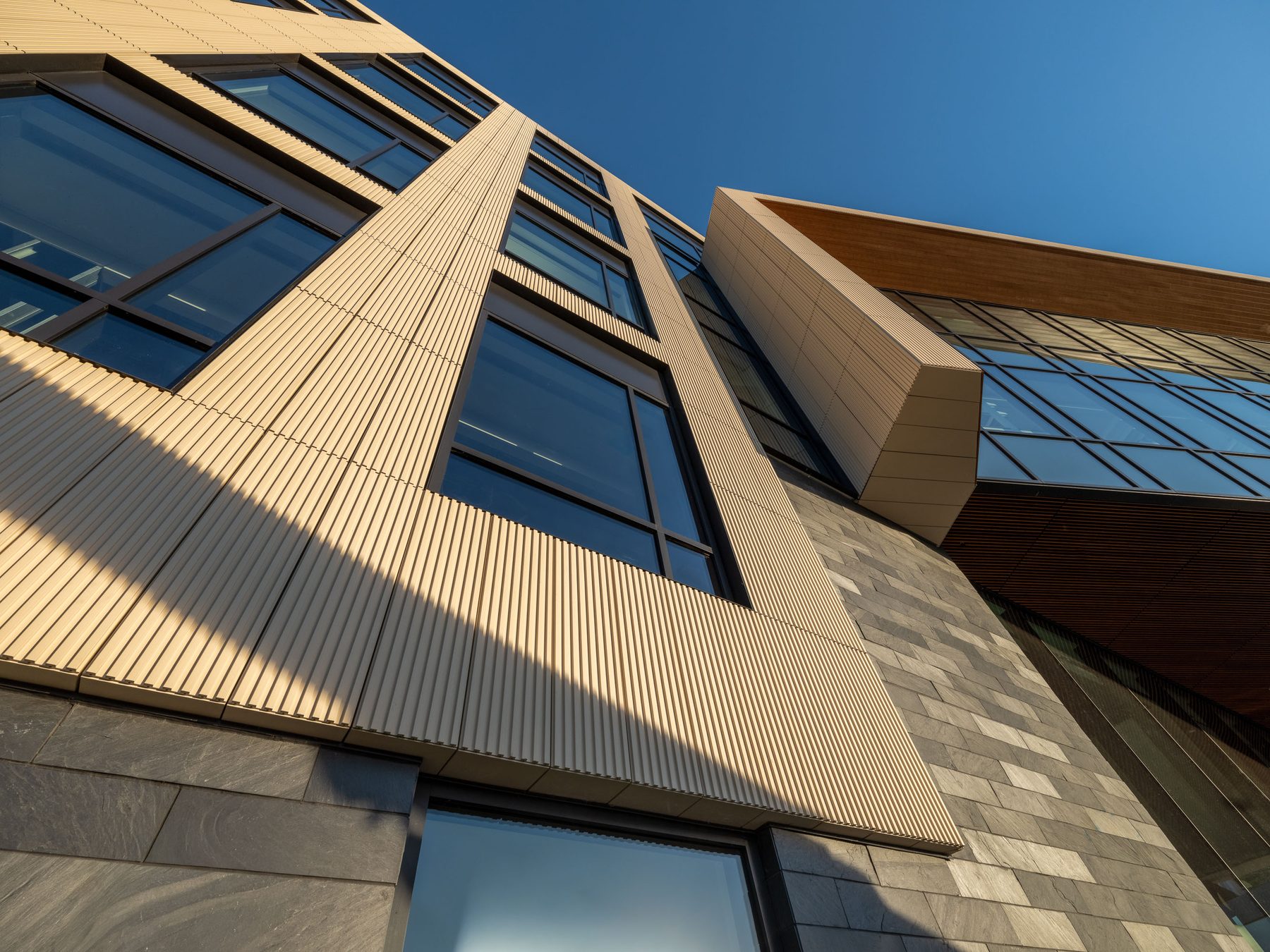 66 Galen Street, Elkus Manfredi Architects, Watertown, MA, architectural detail
