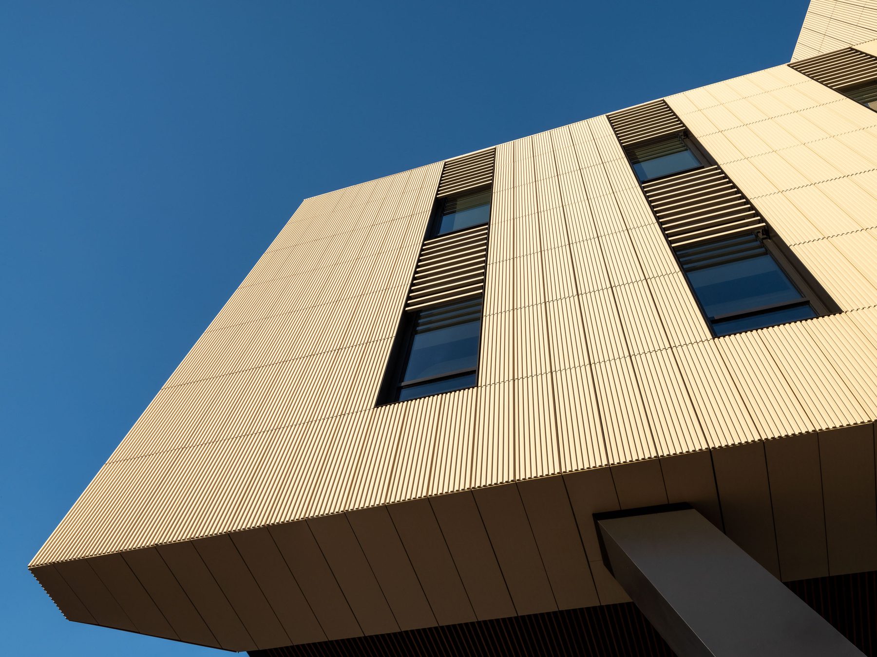 66 Galen Street, Elkus Manfredi Architects, Watertown, MA, architectural exterior