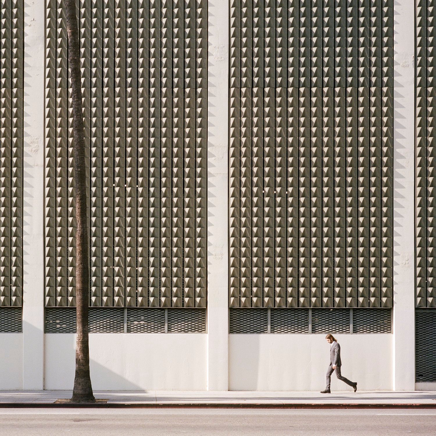 Same Animal, Los Angeles, CA, portrait in architecture